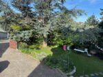 Blick auf den Garten vorne