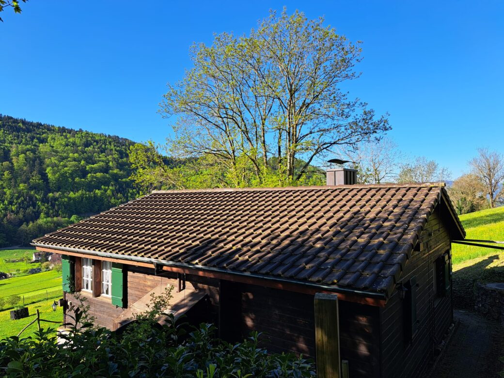 hausansicht1