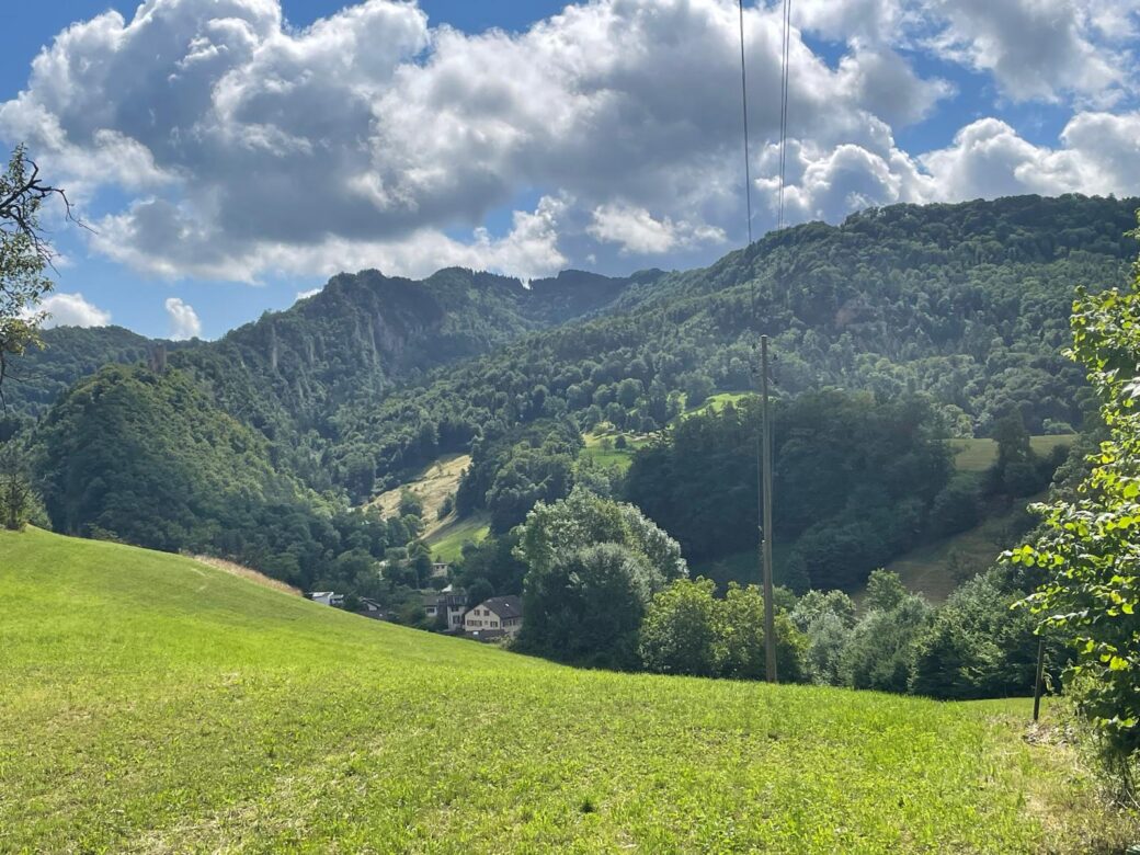 Ausblick garten